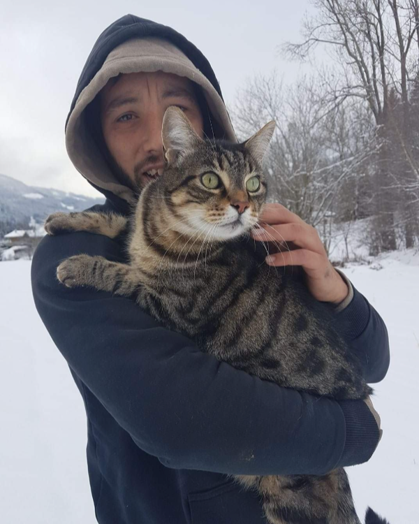 Missing Cat - Saint-Hilaire-des-Loges