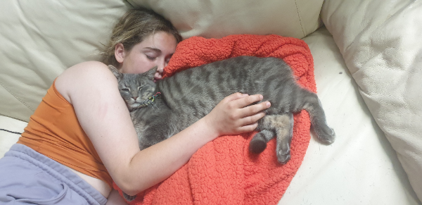 Missing Cat - Souillac