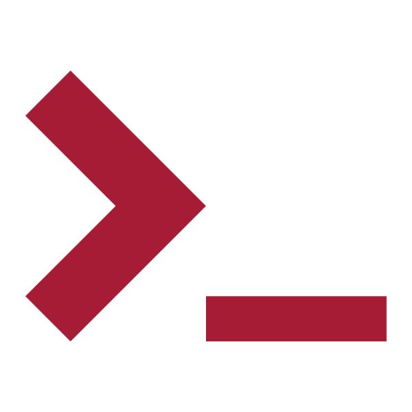 Missing Cat - Gujranwala