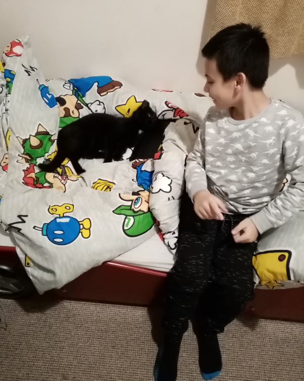 Missing Cat - Unknown