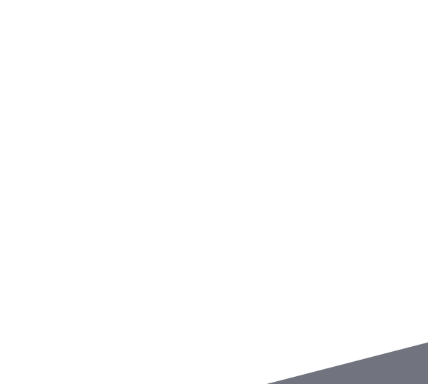 Missing Cat - Budapest