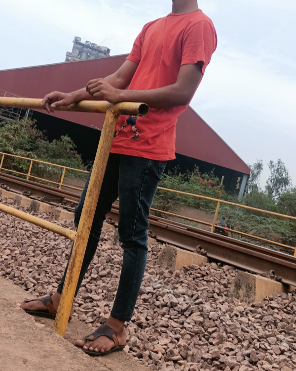 Missing Cat - Bhilai