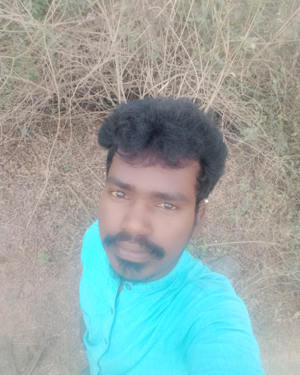 Missing Cat - Tiruchirappalli