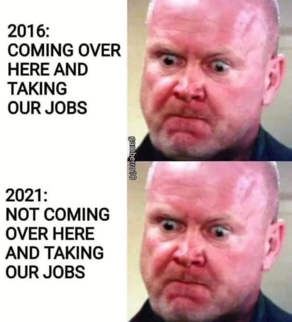 Missing Cat - Sheringham