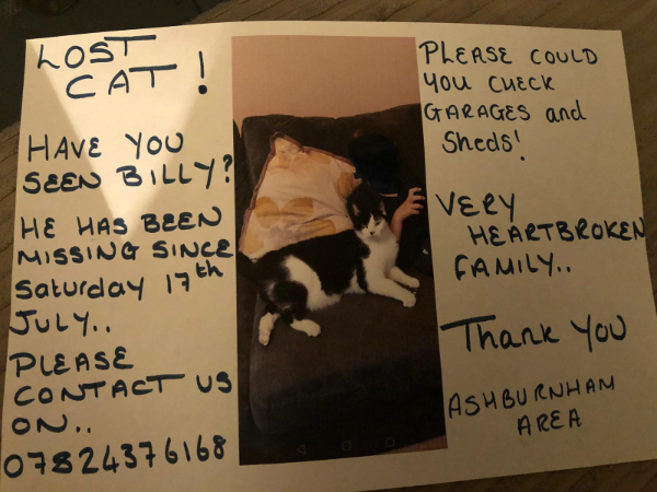 Missing Cat - Carlton Colville