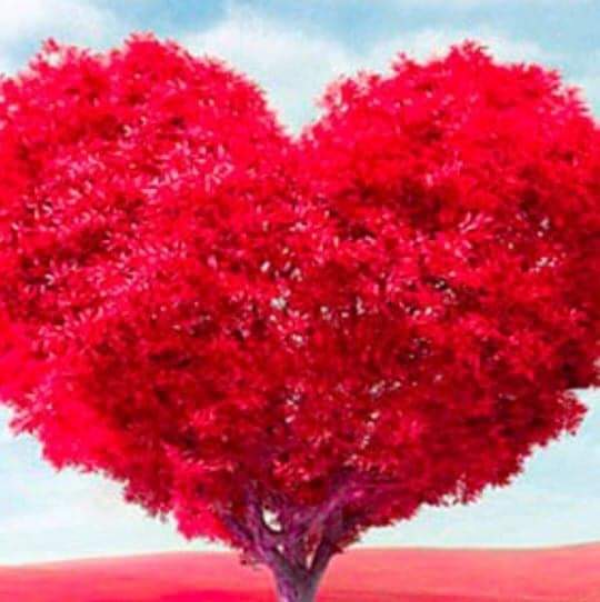 Missing Cat - Marine Lines East