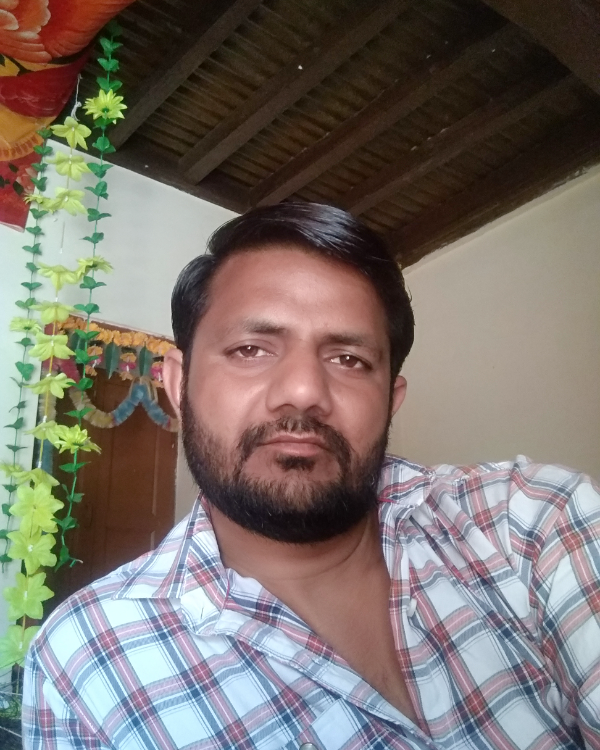 Missing Cat - Bahadurgarh