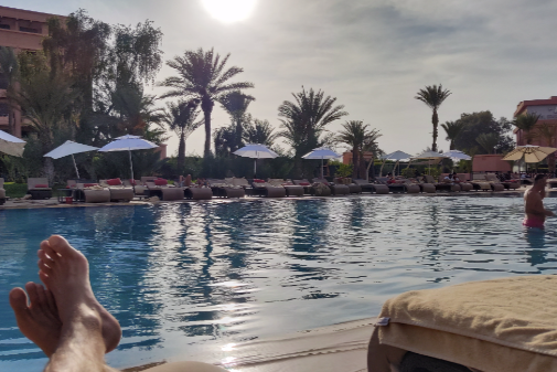 Missing Cat - Marrakesh