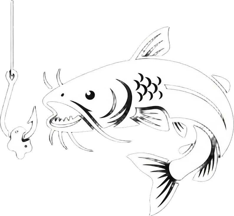 Catfish Bait