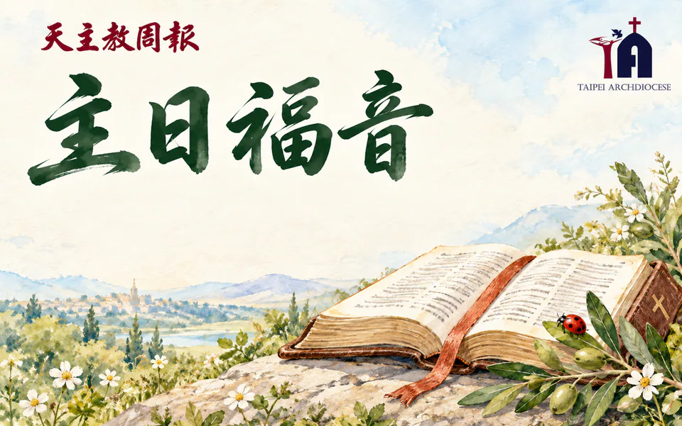 甲年常年期第二十六主日 「看 都成了新的」|文章首圖