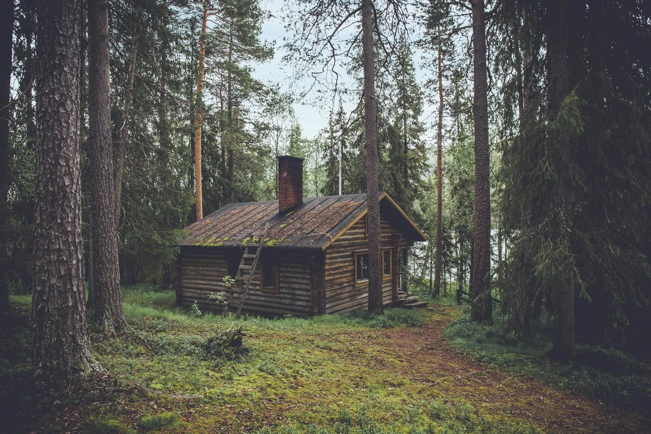 The Forest House