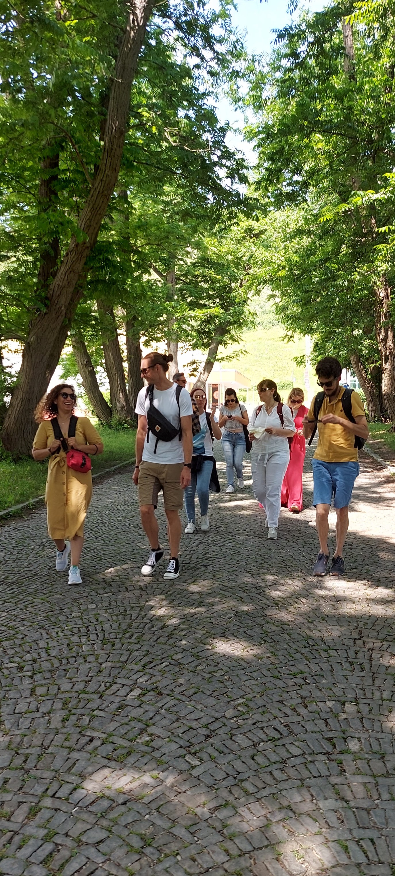 CBA ArtPreneurs Trainer of Trainers Event in Maribor, Slovenia