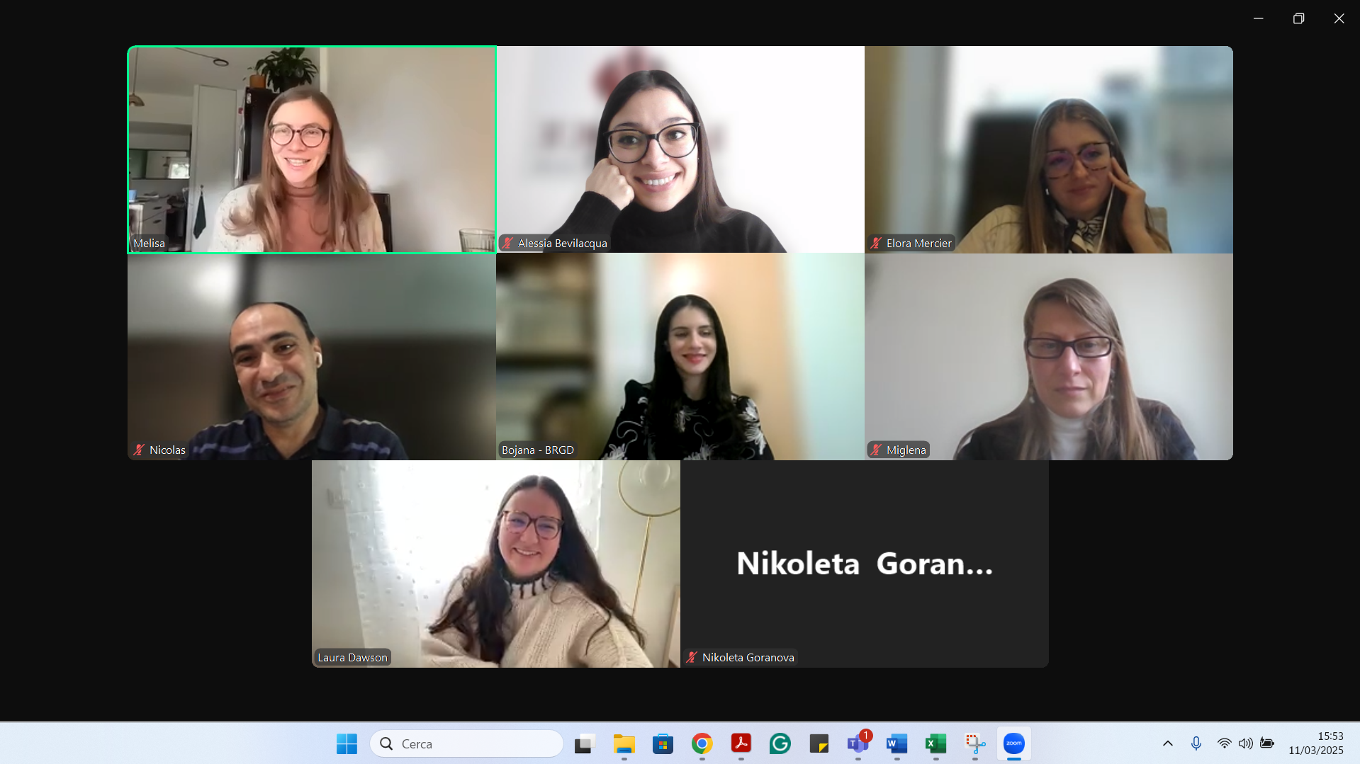 In-Digit Online Meeting 2