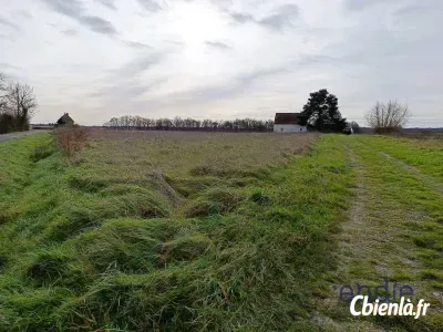 Terrain à Ligueil