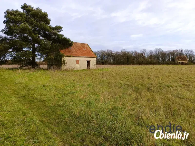 Photo 4 - Terrain à Ligueil