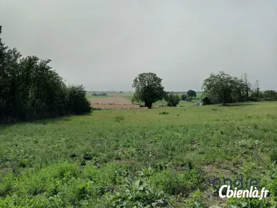 Terrain à Chinon