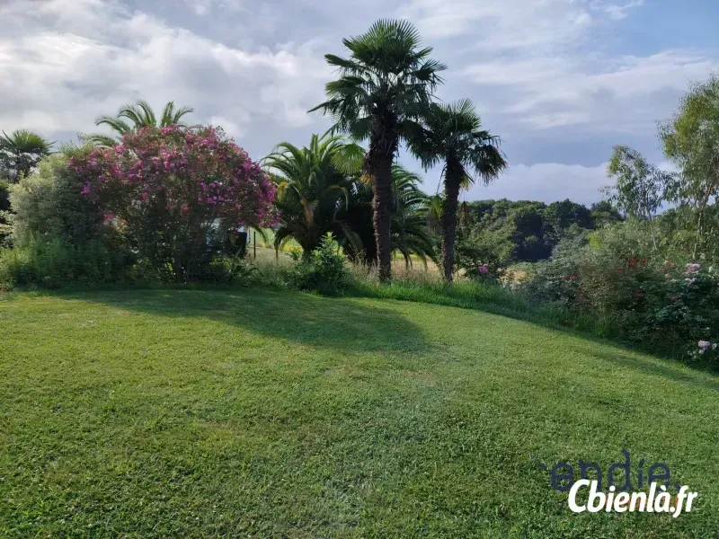 Photo 3 - Maison à Poudenx