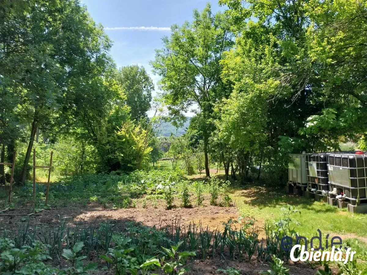 Terrain à Clemensat