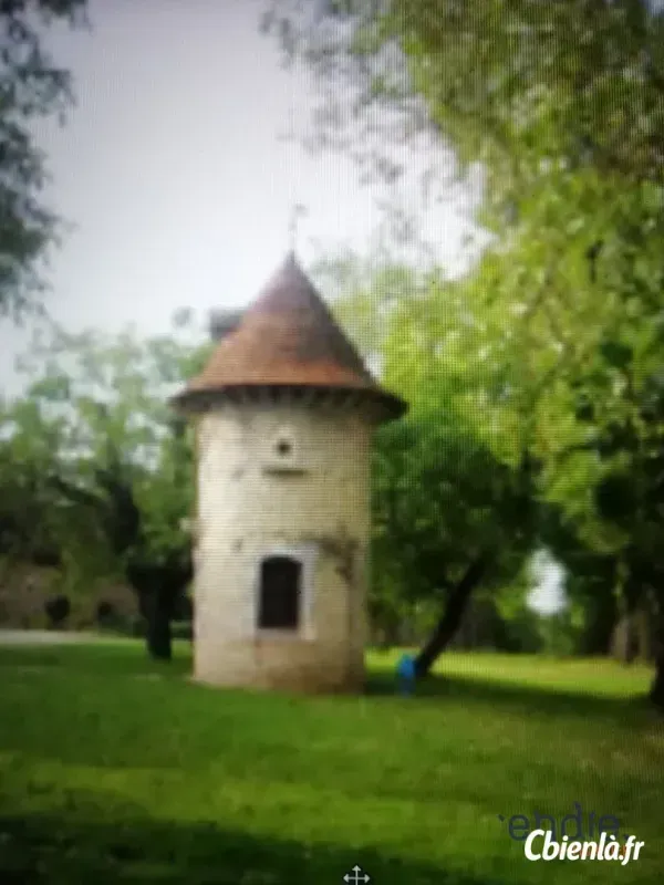 Photo 2 - Autre à Chateau Sur Allier