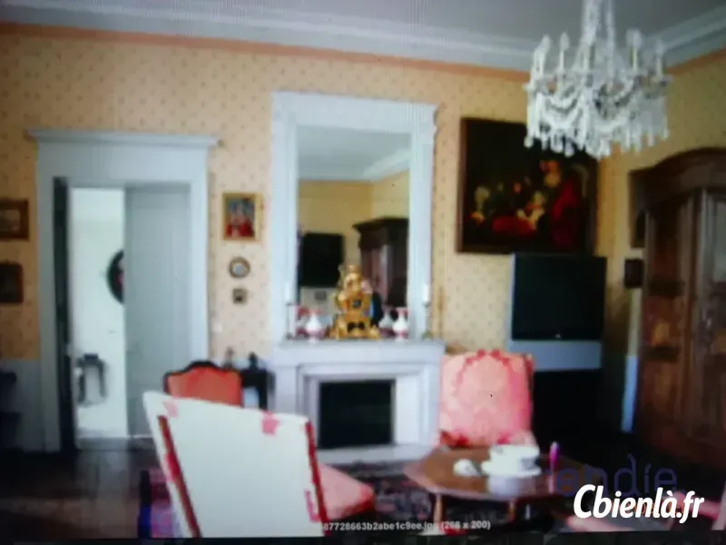 Photo 5 - Autre à Chateau Sur Allier