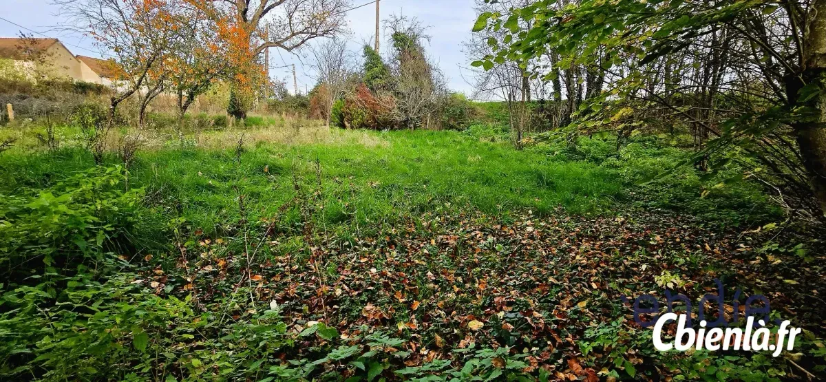 Terrain à Avermes