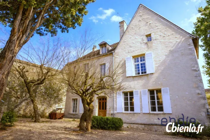 Photo 2 - Maison à Mehun Sur Yevre