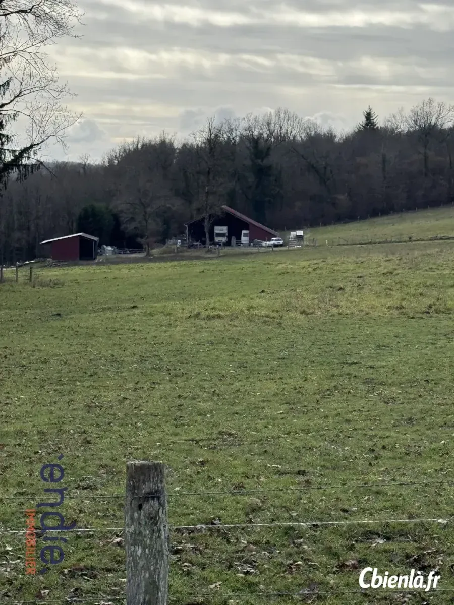 Terrain à Chaillac Sur Vienne