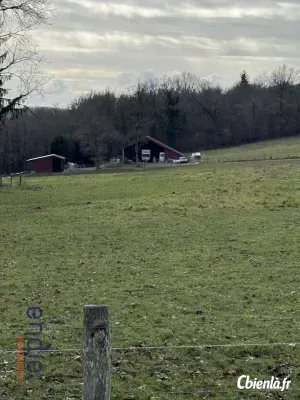 Terrain à Chaillac Sur Vienne