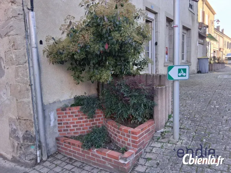 Photo 3 - Maison à Couleuvre