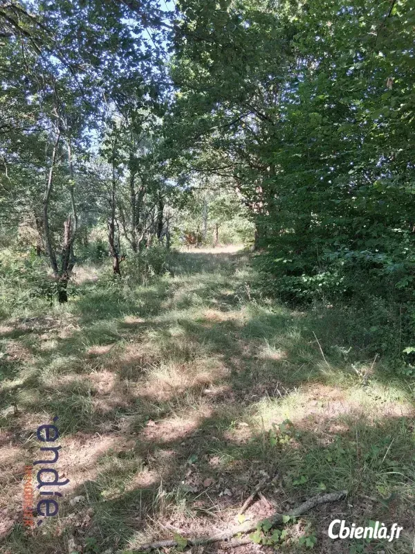 Photo 5 - Terrain à Vesdun