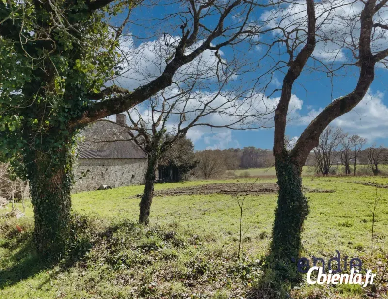 Photo 3 - Maison à Bubry