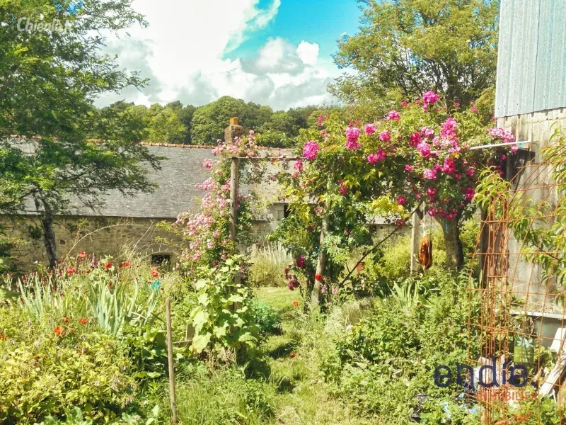 Photo 3 - Maison à Melrand