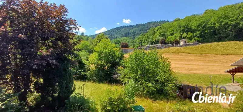 Photo 2 - Maison à Bitschwiller Les Thann