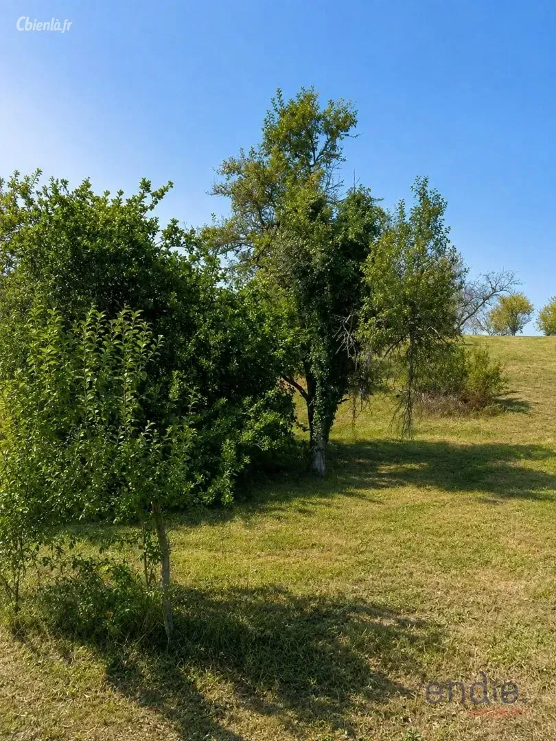 Terrain à Gy