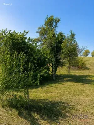 Terrain à Gy