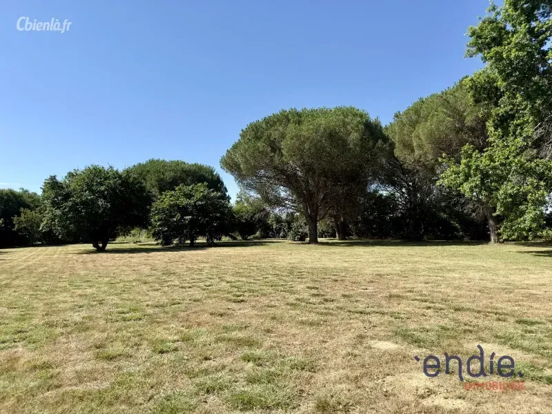Photo 5 - Maison à Grenade