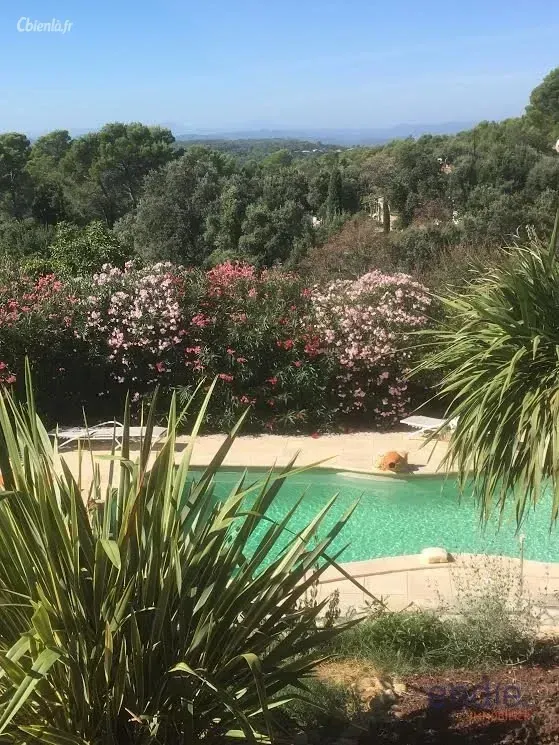 Photo 4 - Maison à Lorgues