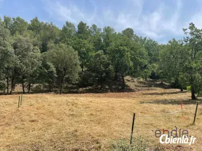 Terrain à Taradeau