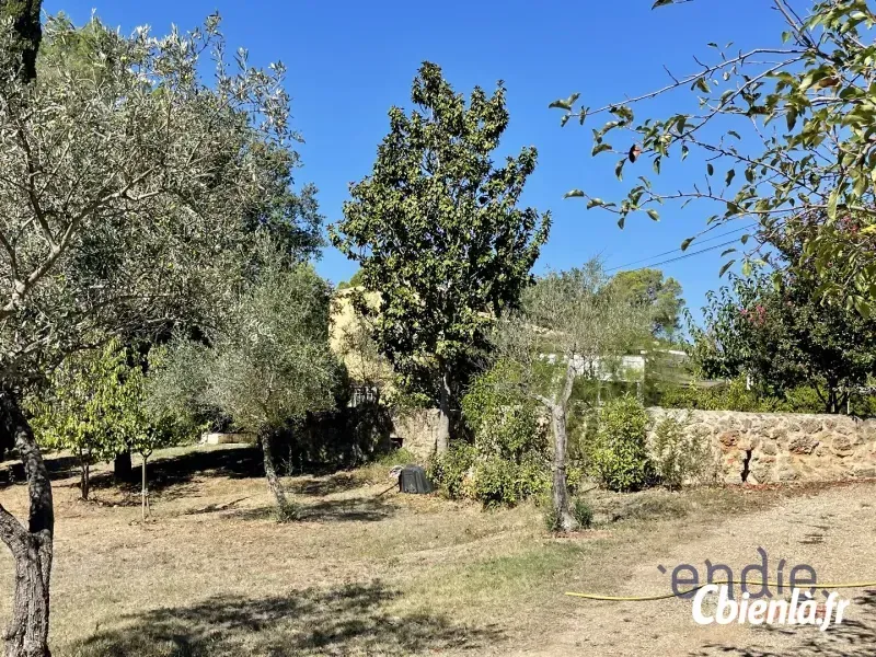 Photo 4 - Maison à Lorgues