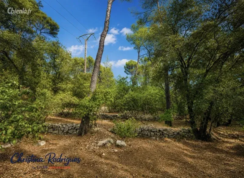 Photo 4 - Terrain à Lorgues