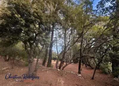 Terrain à Lorgues