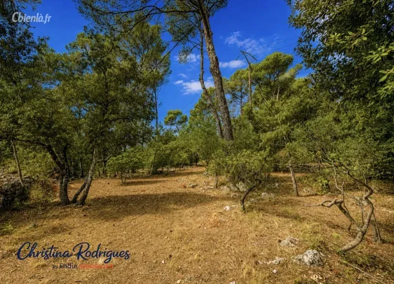 Photo 2 - Terrain à Lorgues
