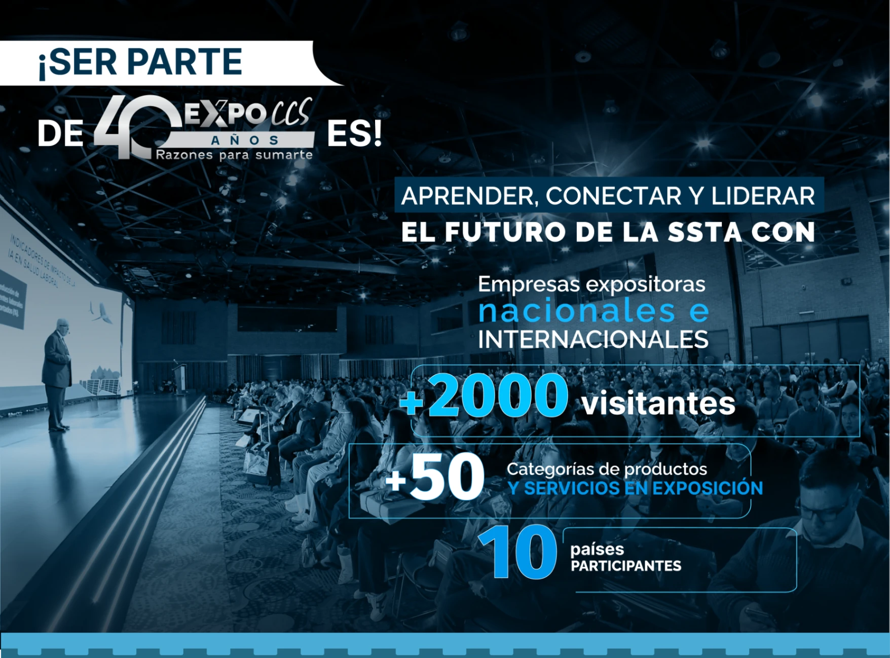 contenido 3
