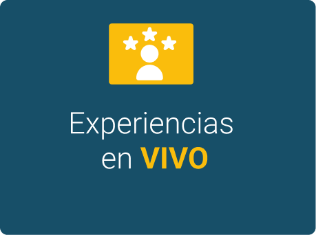 contenido 4 caja 1