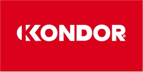 logo aliado