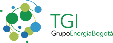 TGI