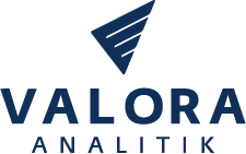 VALORA ANALITIK