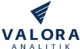 VALORA ANALITIK