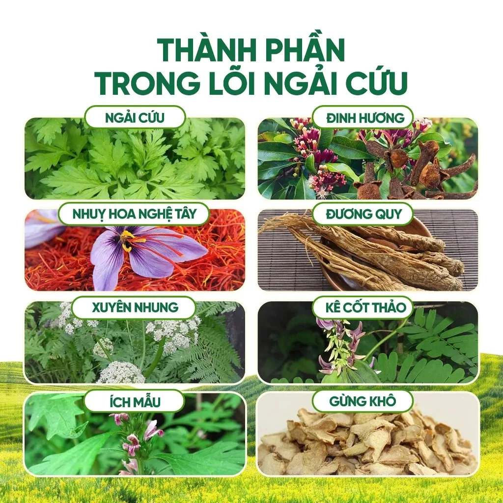 Thảm Ngải Cứu Combo Gối và Thảm Ngải Cứu – hình minh hoạ 6