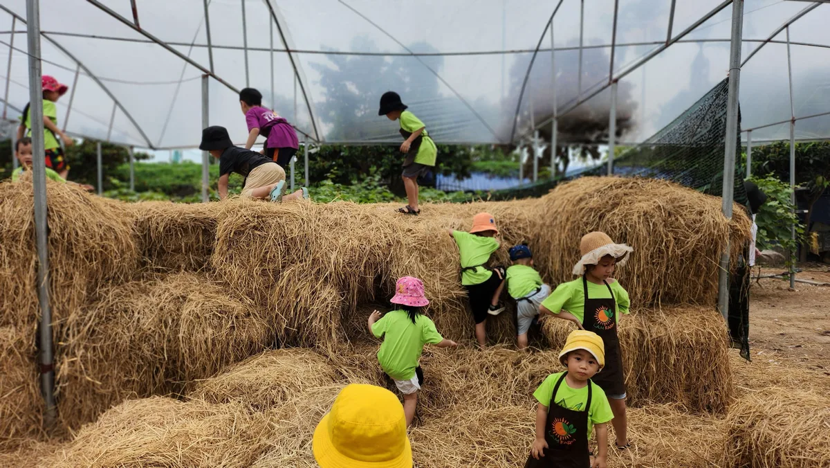 Can thiệp sớm, giáo dục sớm HOANANGHP – hình minh hoạ 6